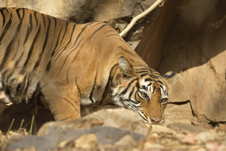 Gallery aditya singh