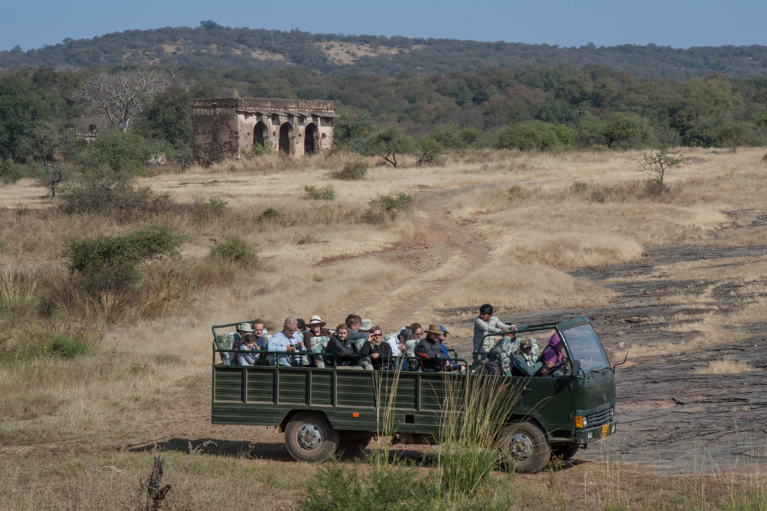 Ranthambore canter safari online booking